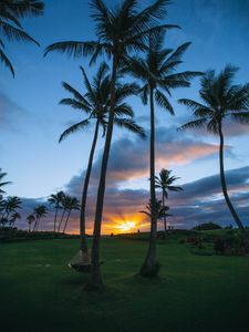 Preview wallpaper palms, sunset, hammock, tropics, summer, koloa, united states
