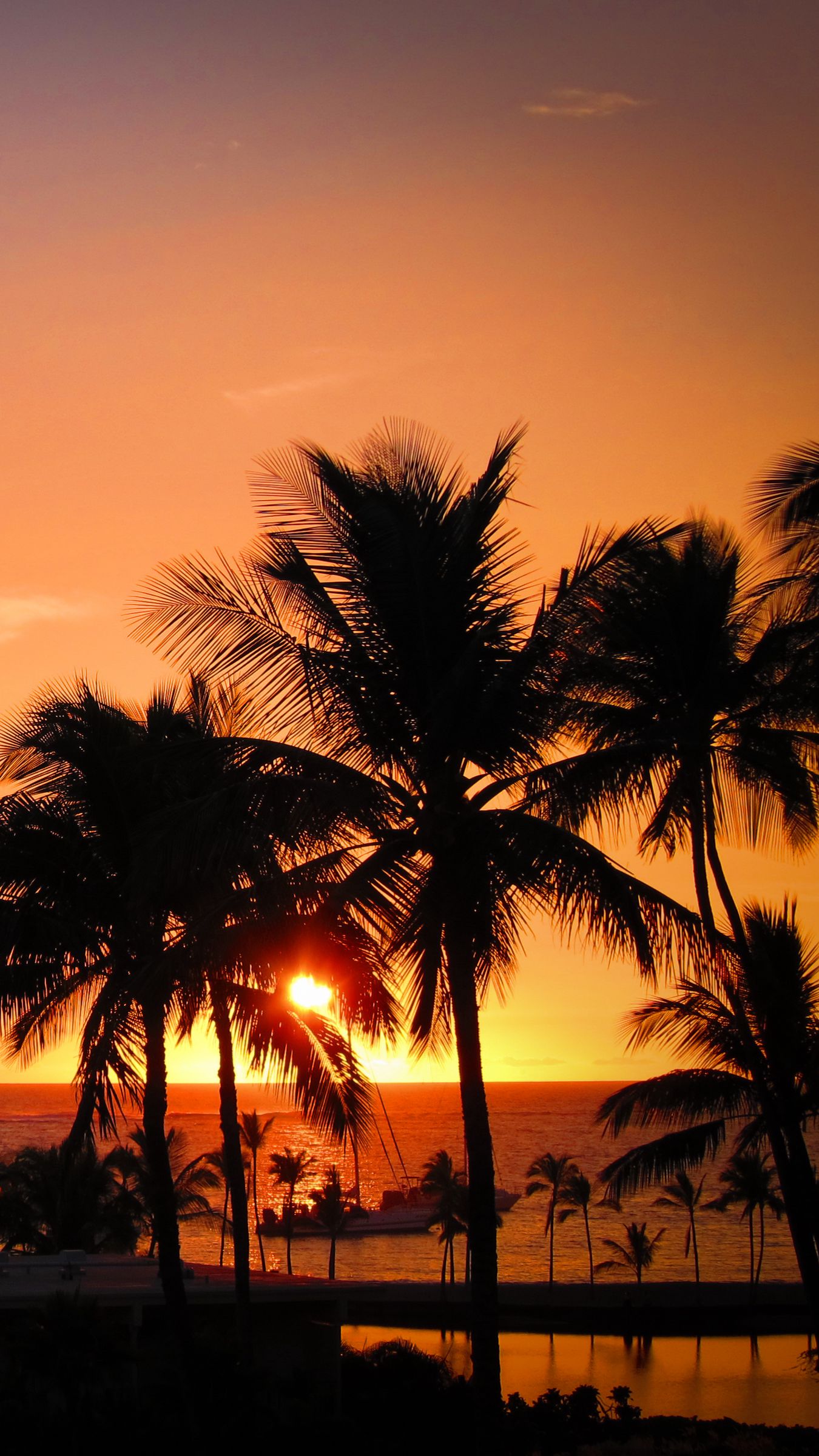 Download Wallpaper 1350x2400 Palms Sunset Hawaii Tropics Ocean Horizon Iphone 8 7 6s 6 For Parallax Hd Background