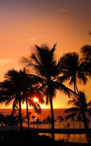 Preview wallpaper palms, sunset, hawaii, tropics, ocean, horizon