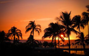 Preview wallpaper palms, sunset, hawaii, tropics, ocean, horizon