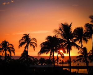 Preview wallpaper palms, sunset, hawaii, tropics, ocean, horizon