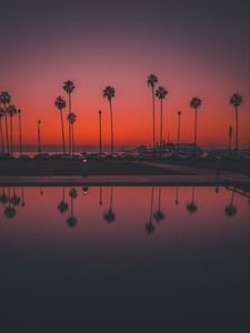 Preview wallpaper palms, sunset, san diego, usa, reflection