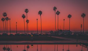 Preview wallpaper palms, sunset, san diego, usa, reflection