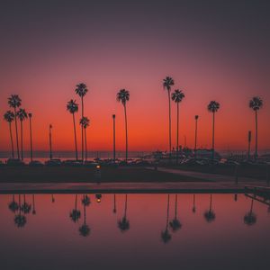 Preview wallpaper palms, sunset, san diego, usa, reflection