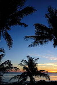 Preview wallpaper palms, sunset, sea, outlines, tropics