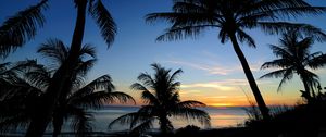 Preview wallpaper palms, sunset, sea, outlines, tropics