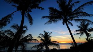 Preview wallpaper palms, sunset, sea, outlines, tropics
