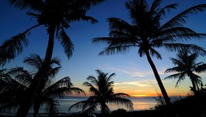 Preview wallpaper palms, sunset, sea, outlines, tropics