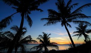 Preview wallpaper palms, sunset, sea, outlines, tropics