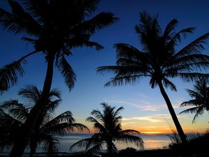 Preview wallpaper palms, sunset, sea, outlines, tropics