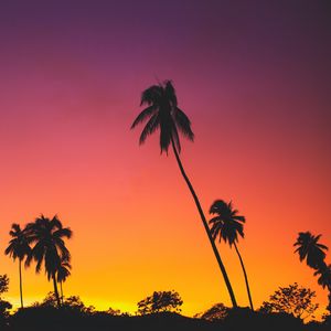 Preview wallpaper palms, sunset, silhouettes, tropics, sky