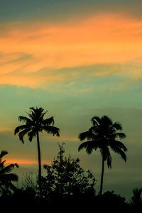 Preview wallpaper palms, sunset, sky