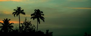 Preview wallpaper palms, sunset, sky