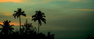 Preview wallpaper palms, sunset, sky