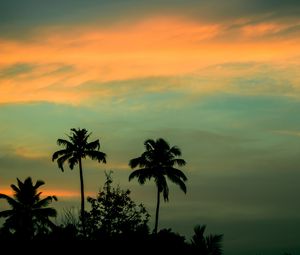 Preview wallpaper palms, sunset, sky