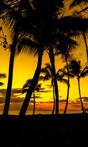 Preview wallpaper palms, sunset, tropics, shore, dark