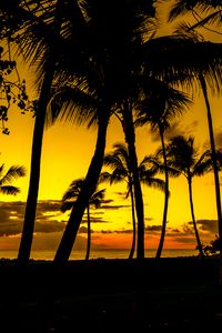 Preview wallpaper palms, sunset, tropics, shore, dark