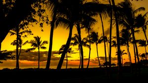 Preview wallpaper palms, sunset, tropics, shore, dark