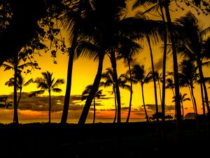 Preview wallpaper palms, sunset, tropics, shore, dark