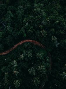 Preview wallpaper palms, top view, road, green