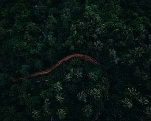 Preview wallpaper palms, top view, road, green