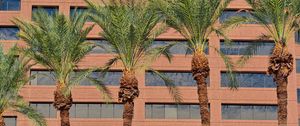 Preview wallpaper palms, trees, building, facade