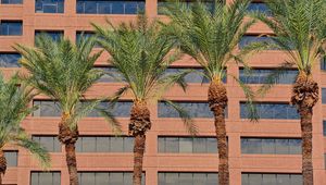 Preview wallpaper palms, trees, building, facade