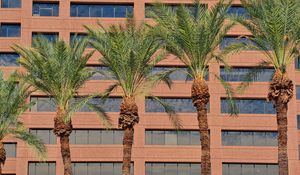 Preview wallpaper palms, trees, building, facade