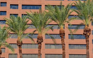 Preview wallpaper palms, trees, building, facade