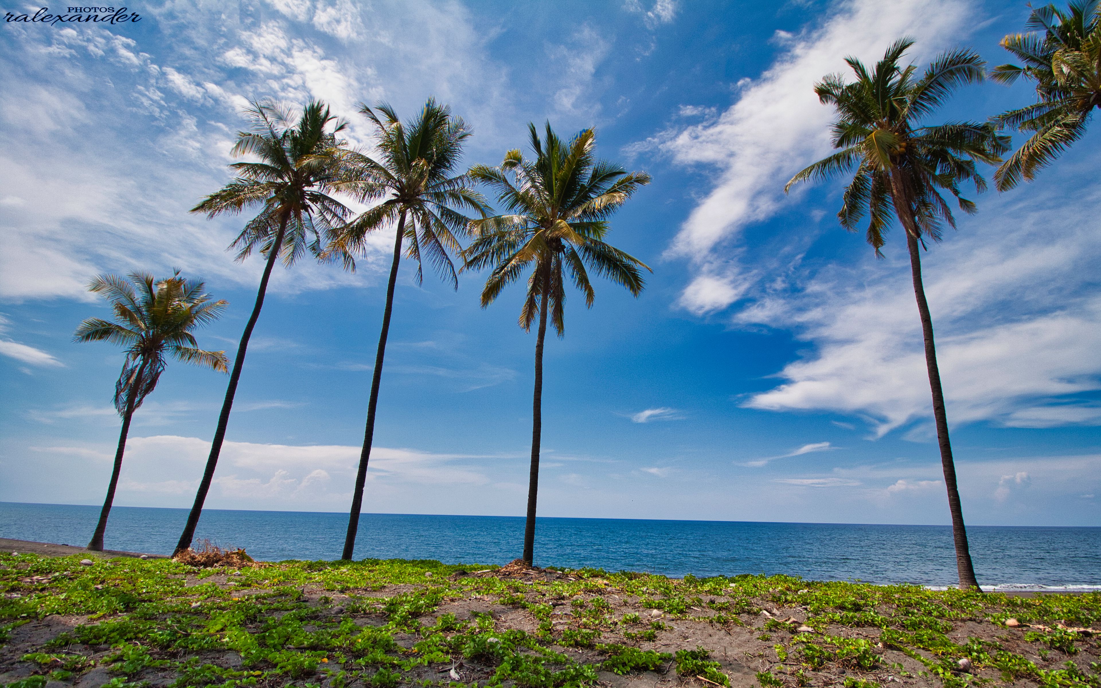 Download Wallpaper 3840x2400 Palms Trees Sea Tropics Landscape 4k