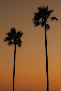 Preview wallpaper palms, trees, silhouettes, dusk