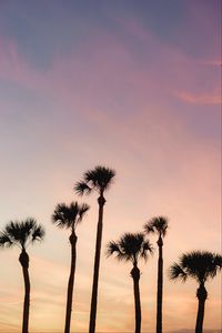 Preview wallpaper palms, trees, sky, dusk, summer