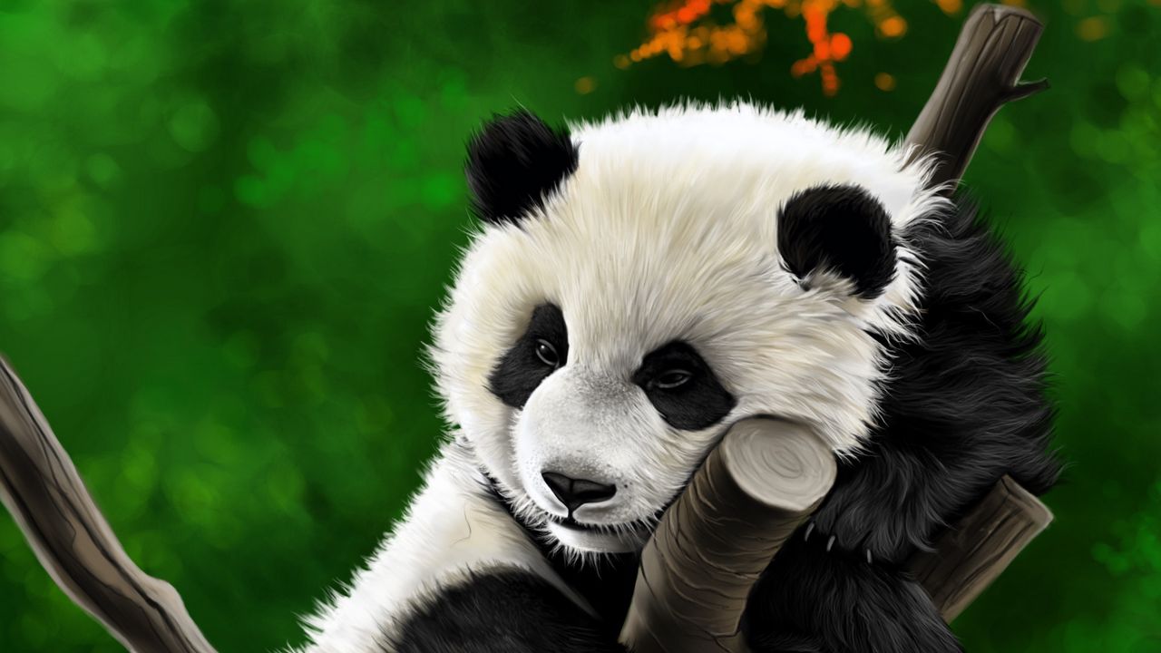 Wallpaper panda, animal, branch, art