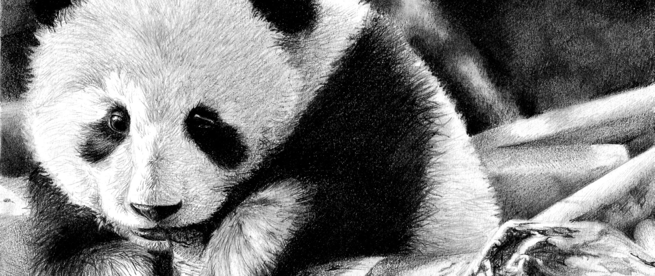 Download wallpaper 2560x1080 panda, color, face, black and white dual ...