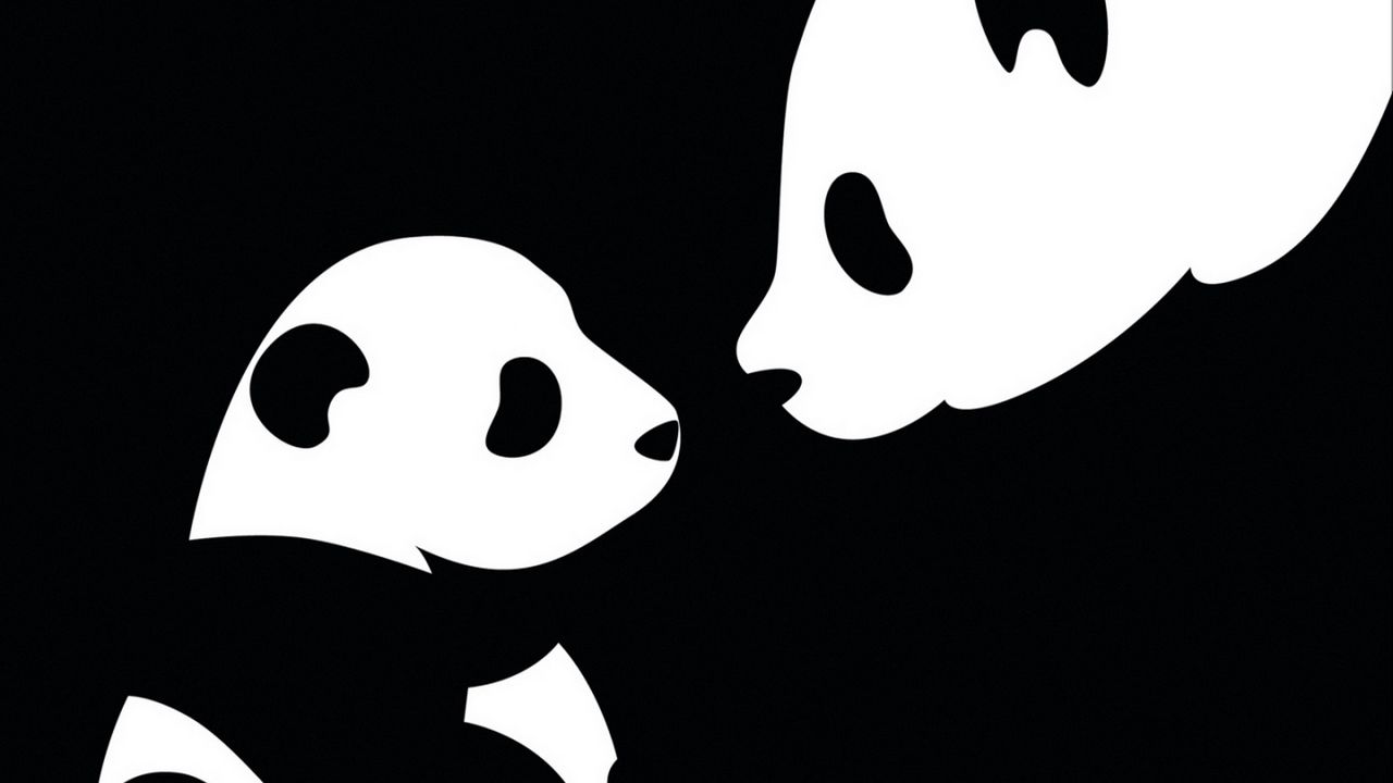 Wallpaper Panda Drawing Black White Hd Picture Image