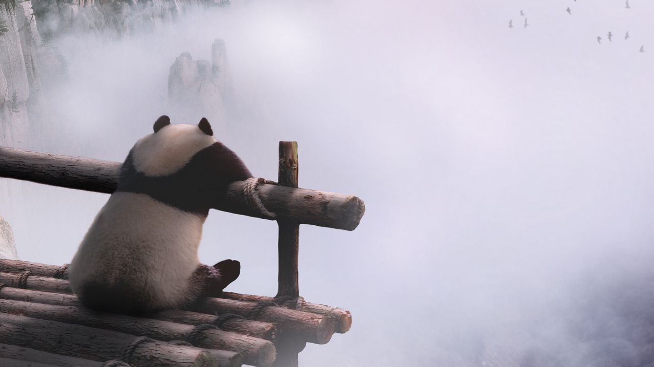 Wallpaper panda, mountains, fog, clouds, nature