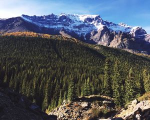 Preview wallpaper panorama, mountains, sky, trees