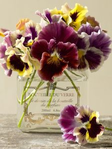 Preview wallpaper pansies, flowers, bouquet, bank