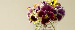 Preview wallpaper pansies, flowers, bouquet, bank