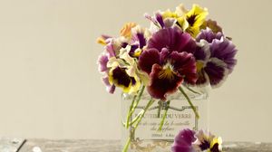Preview wallpaper pansies, flowers, bouquet, bank