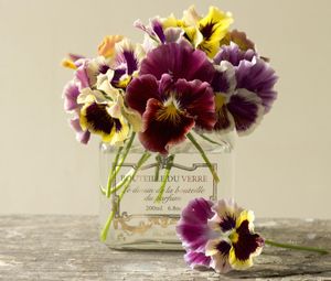 Preview wallpaper pansies, flowers, bouquet, bank
