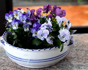 Preview wallpaper pansies, flowers, small, cup, table