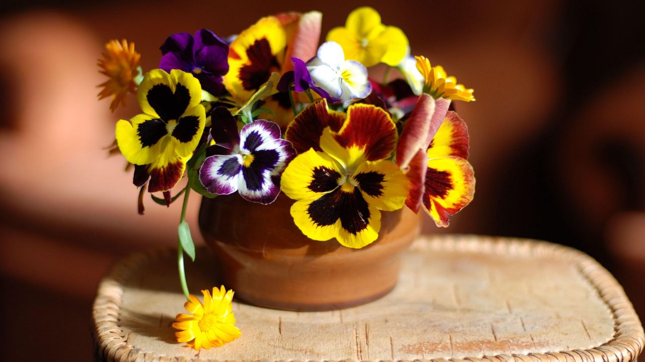 Wallpaper pansies, flowers, vase, stand