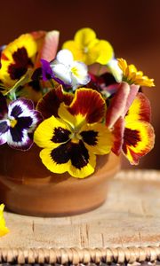 Preview wallpaper pansies, flowers, vase, stand