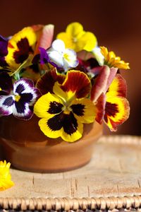 Preview wallpaper pansies, flowers, vase, stand