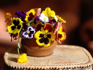 Preview wallpaper pansies, flowers, vase, stand