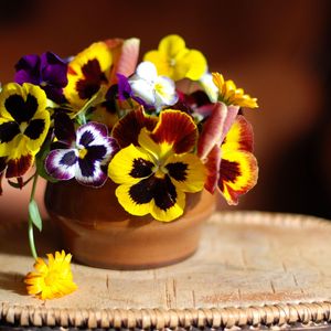 Preview wallpaper pansies, flowers, vase, stand