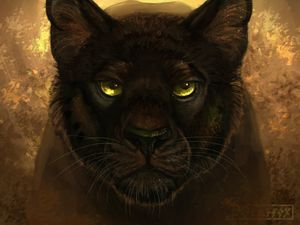 Preview wallpaper panther, black, predator, glance, art