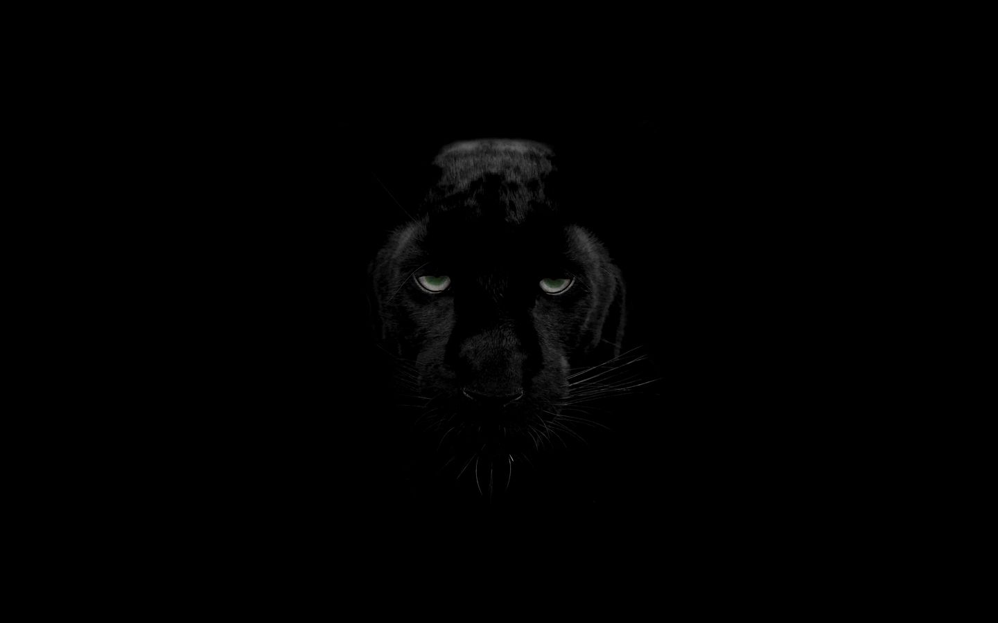1440x900 Wallpaper panther, predator, big cat, wildlife, look