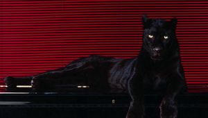 Preview wallpaper panther, sit, big cat, predator